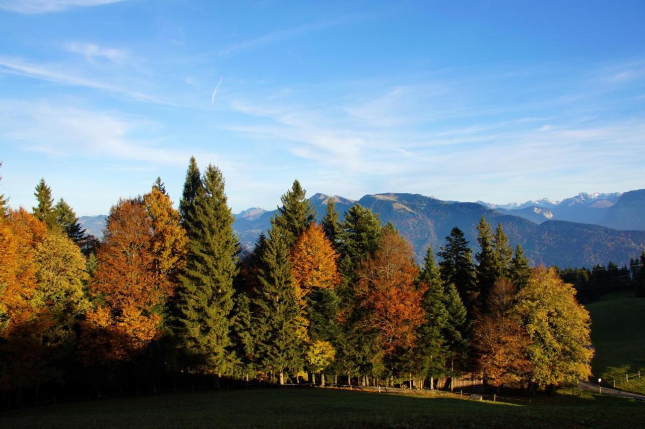 Alpengasthof Brueggele Hotel Alberschwende Kültér fotó